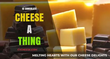 Chocolate Cheese: A Sweet and Savory Myth or Reality?