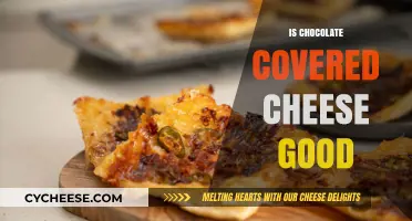 Chocolate-Covered Cheese: Delicious or Disgusting?