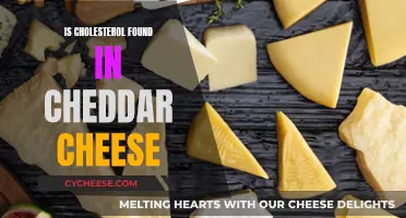 Cholesterol in Cheddar: Unveiling the Dairy Dilemma