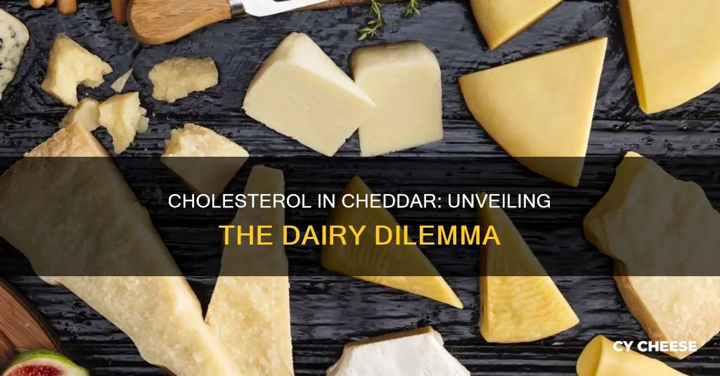 is cholesterol found in cheddar cheese