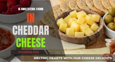 Cheddar Cheese and Cholesterol: What's the Connection?