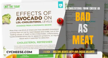 Cheese Cholesterol: Is It Really as Bad as Meat?