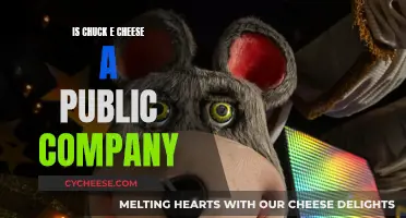 The Public Mouse: Chuck E. Cheese's Financial Status