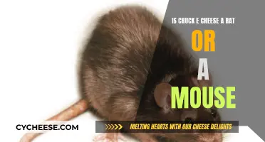 Chuck E. Cheese: Mouse or Rat? A Definitive Answer