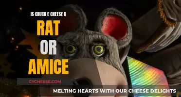 Chuck E. Cheese: Rodent or Mouse Pal?