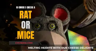 Chuck E. Cheese: Mouse or Rat? The Truth Unveiled