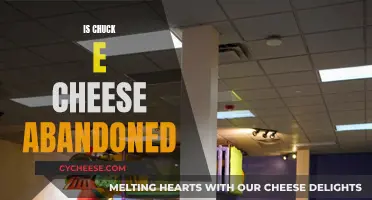 Chuck E. Cheese: A Fun, Abandoned Adventure?