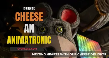 Chuck E. Cheese: Animatronic Characters and Pizza