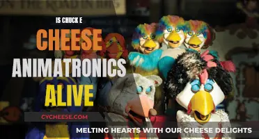 Chuck E. Cheese Animatronics: Are They Really Alive?