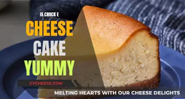 Chuck E. Cheese Cakes: Delicious or Not?