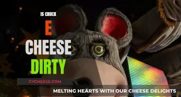 Chuck E. Cheese: Cleanliness and Sanitation Standards Examined