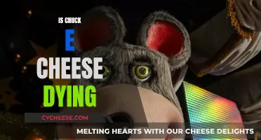 The Slow Death of Chuck E. Cheese