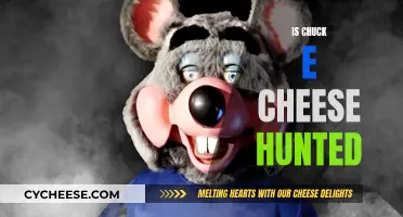 The Dark Side of Chuck E. Cheese