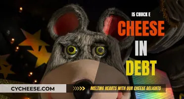 Chuck E. Cheese: A Debt-Ridden Business Model?