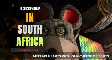 Chuck E. Cheese in South Africa: Is It There?