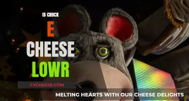 Chuck E. Cheese: Is It a Healthy Option?