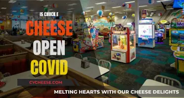 Chuck E. Cheese's Covid Protocols and Opening Hours