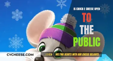 Chuck E. Cheese Accessibility: Public Access and Hours