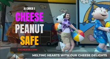 Chuck E Cheese: A Safe Haven for Peanut Allergies?