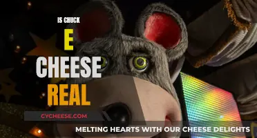 Chuck E. Cheese: Fact or Fiction?