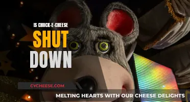 Chuck-E-Cheese's Demise: What Caused the Closure of a Childhood Staple?