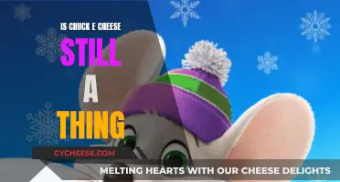 Chuck E. Cheese: Still Standing Strong or a Fading Memory?