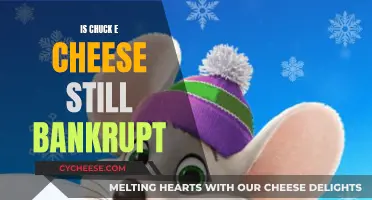 The Future of Chuck E. Cheese: Avoiding Bankruptcy