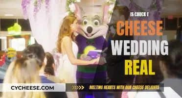 Chuck E. Cheese Weddings: Real or Fake?