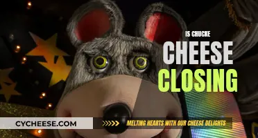 Chuck E. Cheese: Is the Fun Ending?