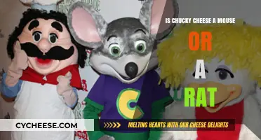 Chucky Cheese: Mouse or Rat? Unraveling the Iconic Mascot's Identity