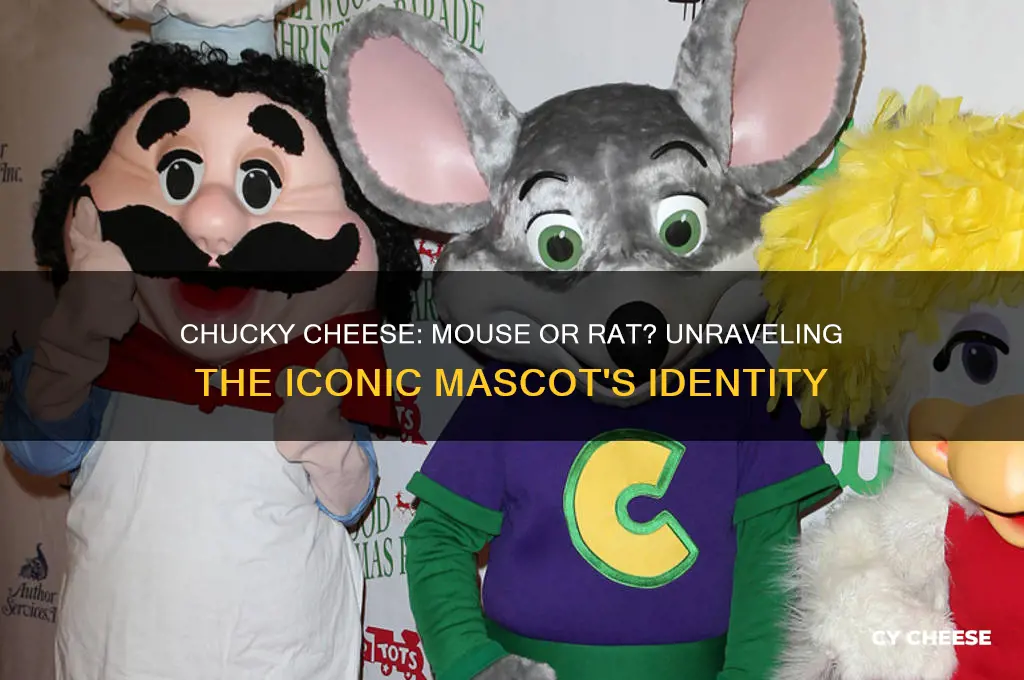is chucky cheese a mouse or a rat