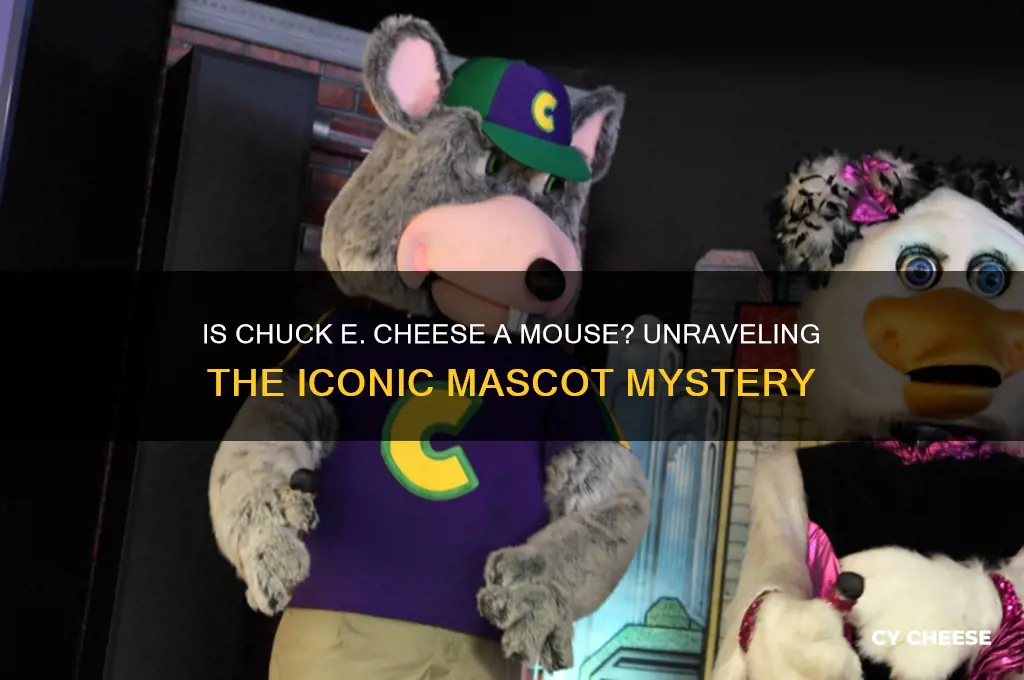 is chucky cheese a mouse