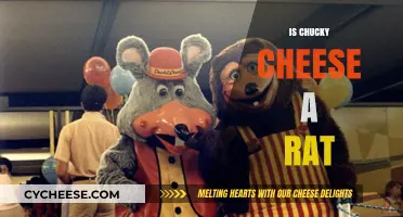 Is Chucky Cheese a Rat? Unraveling the Urban Legend