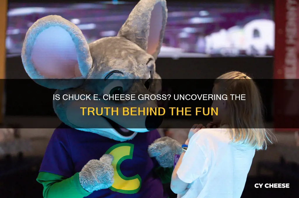 is chucky cheese gross