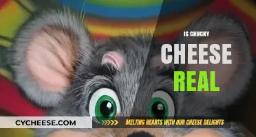 Is Chucky Cheese Real? Unraveling the Truth Behind the Iconic Mouse