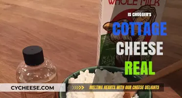 Unveiling the Truth: Is Chugger's Cottage Cheese Real or Myth?