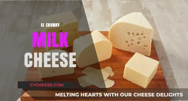 Is Chunky Milk Cheese a Myth or a Delicious Reality?
