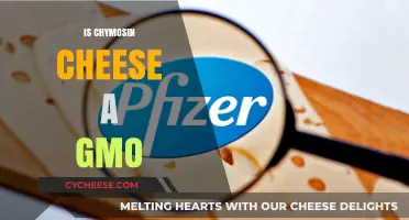 Is Chymosin Cheese a GMO? Unraveling the Genetic Modification Debate