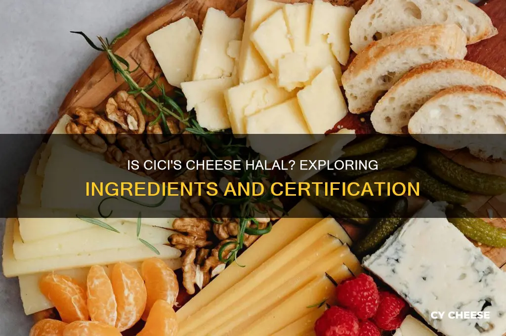 is cici cheese halal