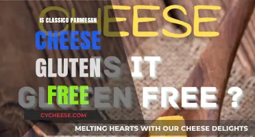 Classic Parmesan Cheese: Gluten-Free Delicacy