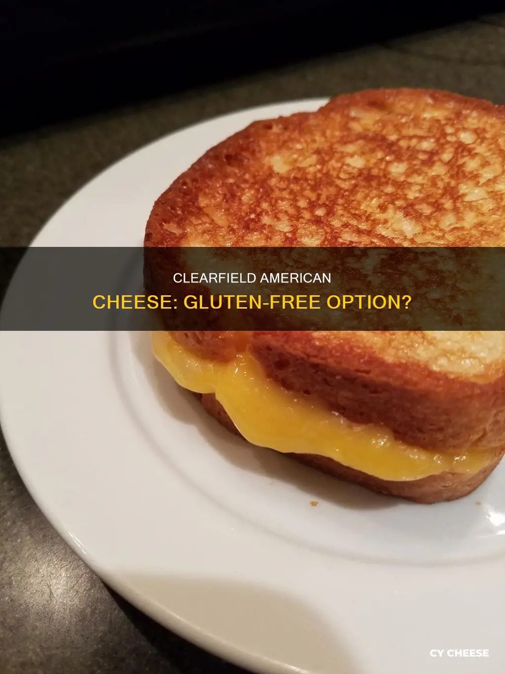 is clearfield american cheese gluten free