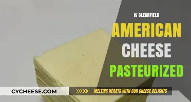 Is Clearfield American Cheese Pasteurized? A Comprehensive Guide