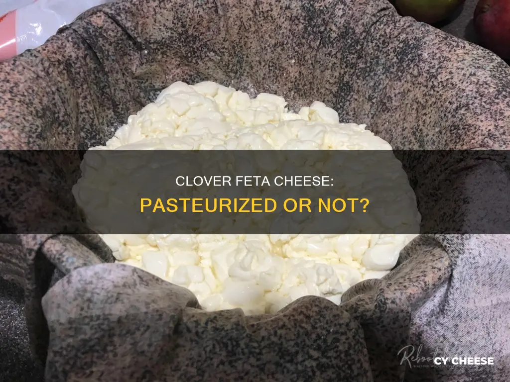 is clover feta cheese pasteurized