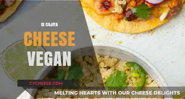 Is Cotija Cheese Vegan? Exploring Dairy-Free Alternatives and Facts