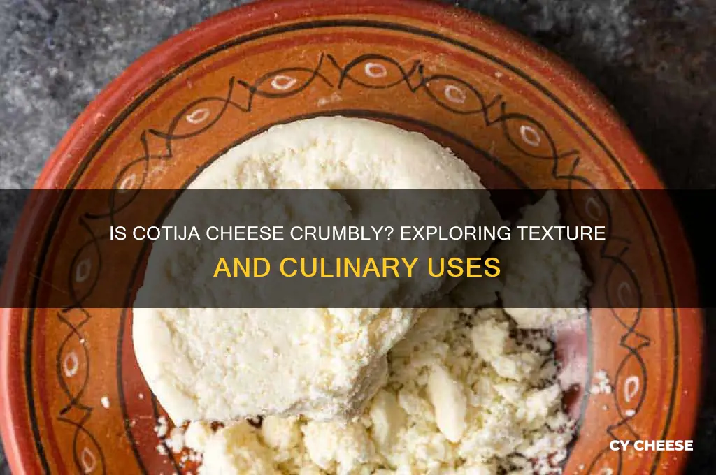 is cojita cheese vrumbly