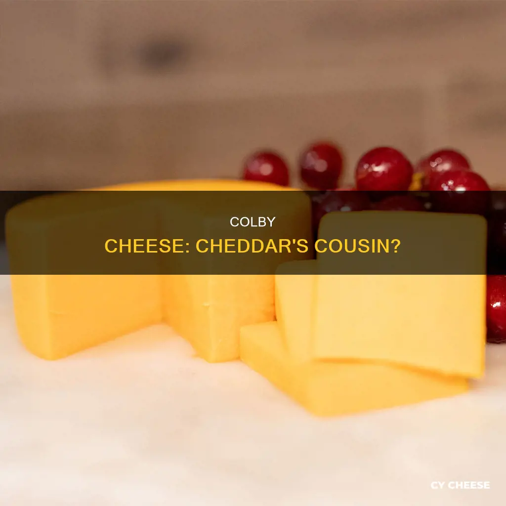 is colby cheese cheddar