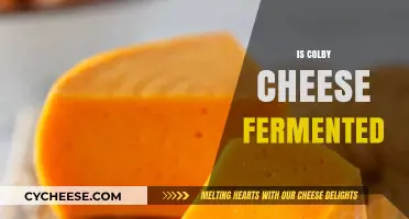 Is Colby Cheese Fermented? Uncovering the Truth Behind Its Production