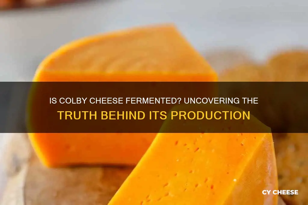 is colby cheese fermented