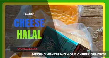 Is Colby Cheese Halal? Exploring Ingredients and Certification