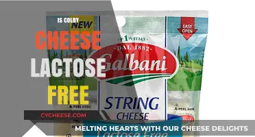 Colby Cheese and Lactose: What's the Deal?